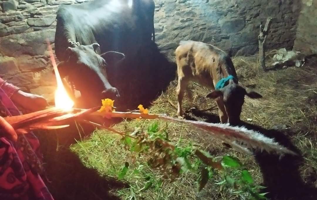 खतड़वा पर्व