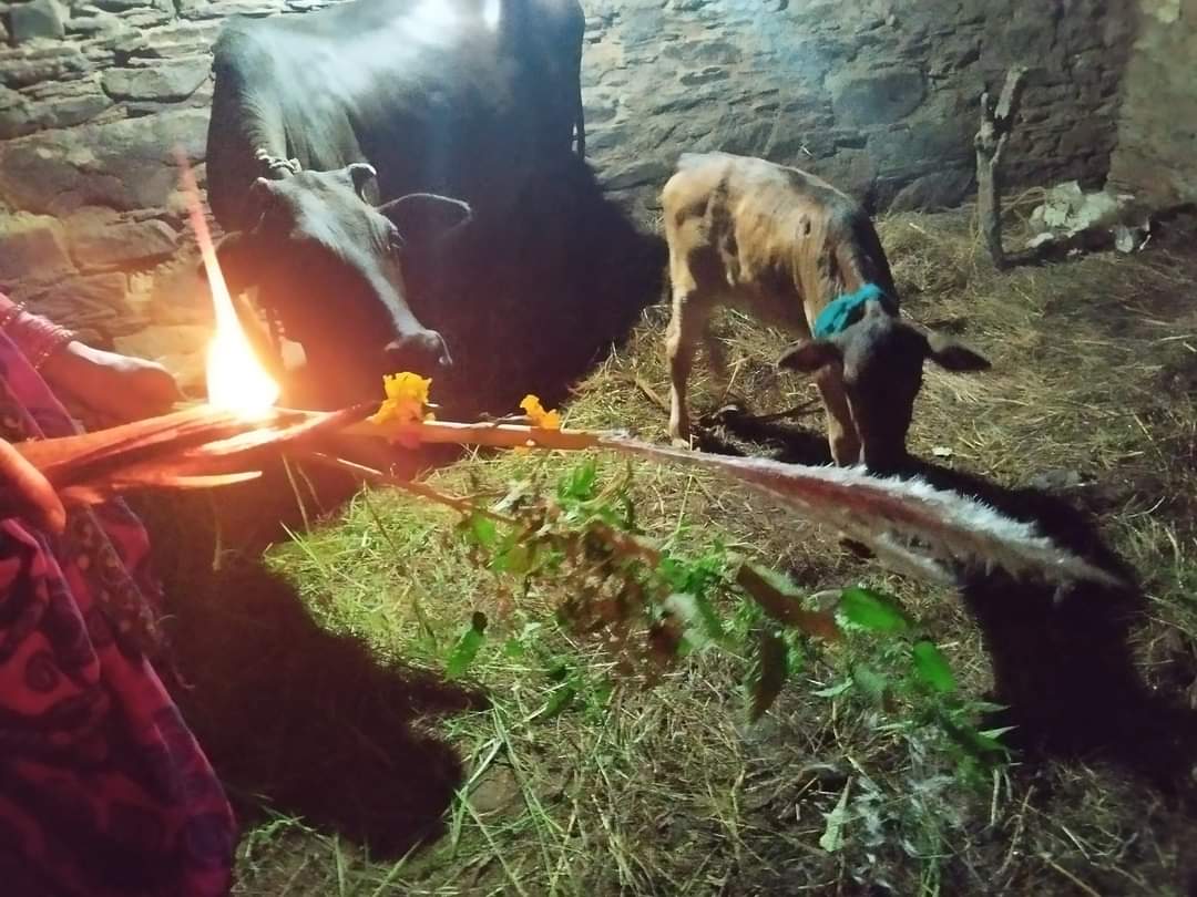 खतड़वा पर्व