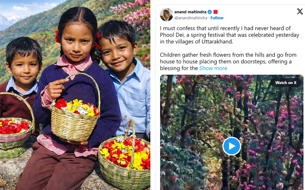 anand mahindra phooldei post